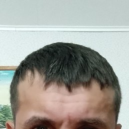 �����, ������, 44 ����