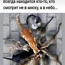  , , 60  -  19  2025    
