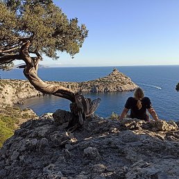 �����, ������ ��������