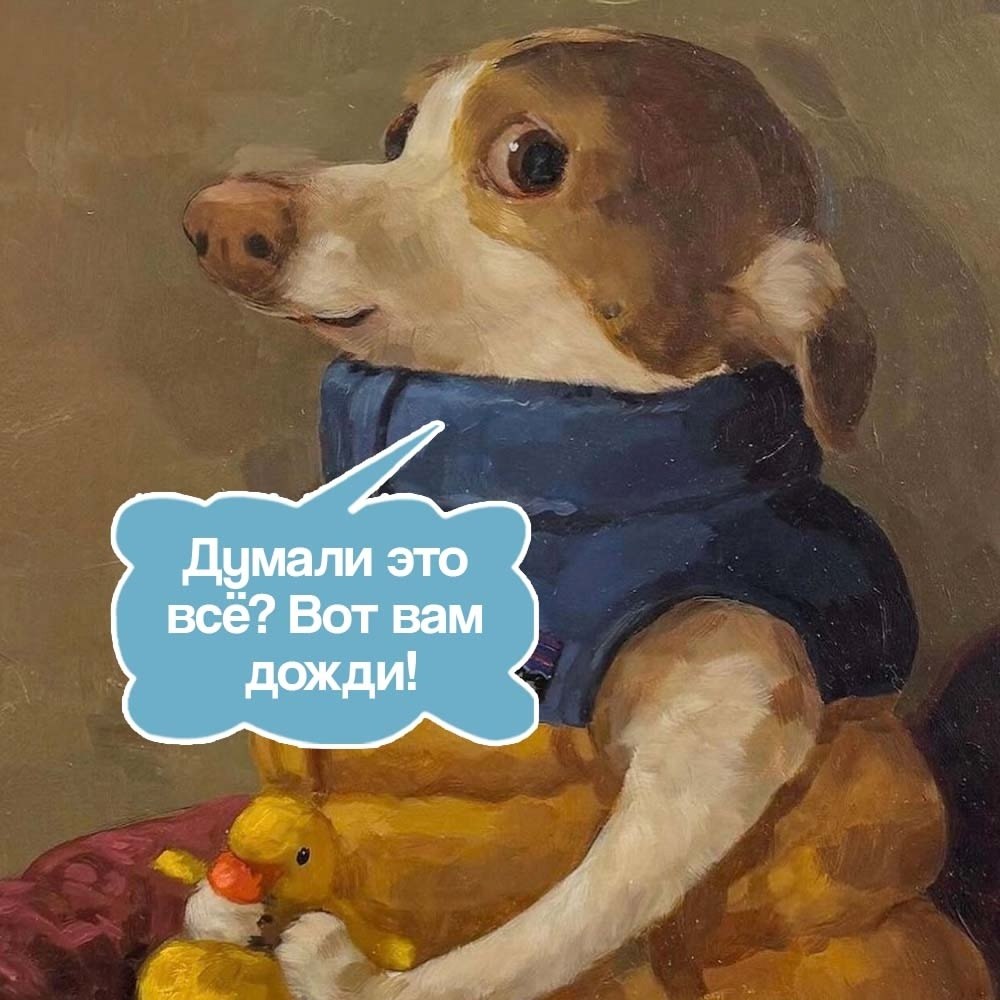  - 19  2025  11:40 - 2