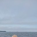  , , 64  -  30  2024    