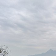 ��������, 53 ����, ����