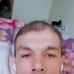 , 41, 