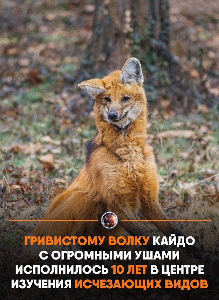 o�o�pa��� c�e�a�� � �e��pe �o ����e��� �c�e�a���� ���o� �o��o�, ��e ���� a��o � o��� �� ca��� ...
