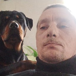 �������, ������, 43 ����