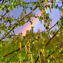  , , 39  -  1  2025    2025 (1/03/2024 // 15:43)