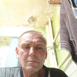  , 51, 
