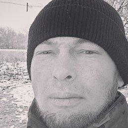 ������� �������, ���������, 41 ���