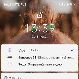 ����, ������, 46 ���