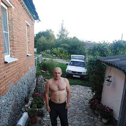 ����, ������, 54 ����