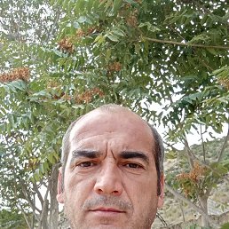 , 45, 