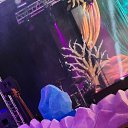 ���� ��������, �����������, 52 ���� - ��������� 27 ������� 2026 � ������ ���� ����������