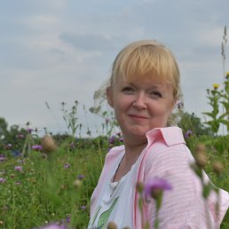 , 38 , 