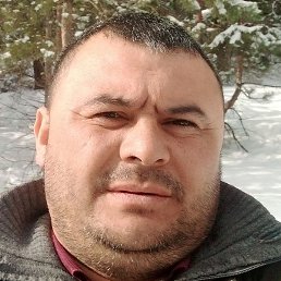 ��������, ������, 41 ���