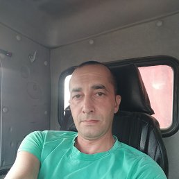 , 39, 