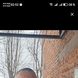 ������, �����������, 50 ���