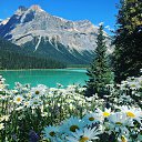 ���� ������, ������ - ��������� 10 �������� 2025 � ������ ���� ����������