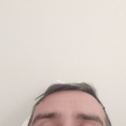 , 41, 