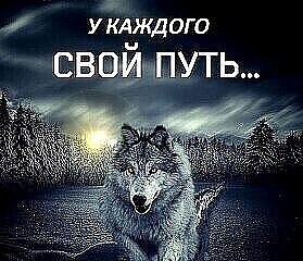 ���� ���-���, ������, 80 ��� - ��������� 17 ������� 2024