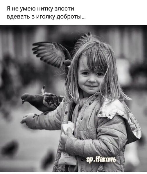 ***Victoria Viktorovna*** - 17  2024  03:29