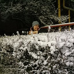 �������, 44 ����, �������