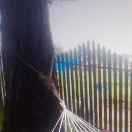 ������, ������������, 48 ���