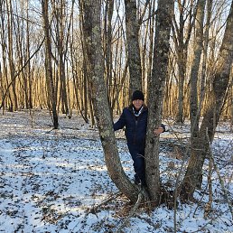 �������, ����������, 72 ����