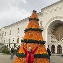 ���� �����, ��������, 62 ���� - ��������� 11 ������ 2026 � ������ ������ ��������