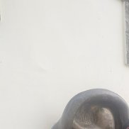 �����, 41 ���, ������-���