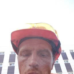 , 29, 