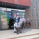  , , 48  -  2  2024    