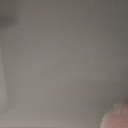 �������, 47 ���, ������