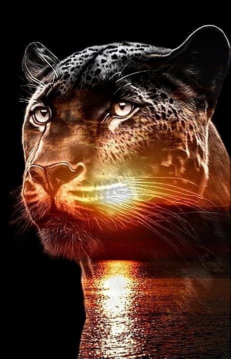 ₪╬═►  ||  ||  ◄═╬₪ - 6  2024  08:06