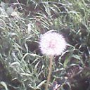  Karen, , 42  -  15  2025    