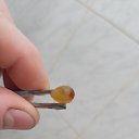  , , 48  -  5  2023   *