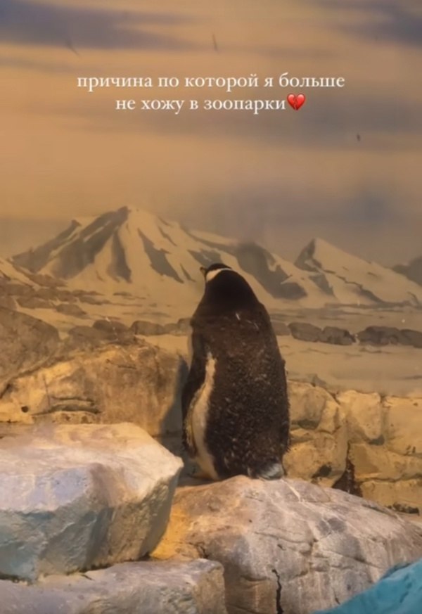     ...      ,    ... - 2