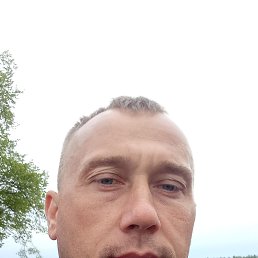 , 37, 