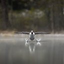  ,  , 64  -  15  2025    