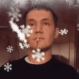 �����, ������, 41 ���