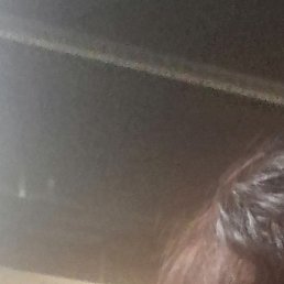 �����, �����-���������, 56 ���