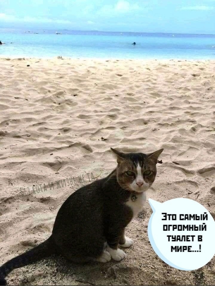      )