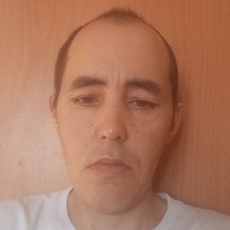 ������, ����, 36 ���