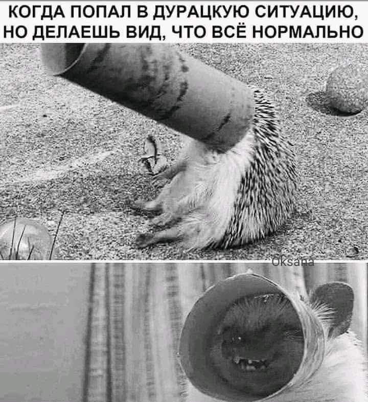   ! - 23  2025  01:10