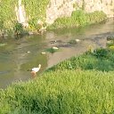  Svetlio, , 40  -  14  2024    