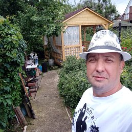 ���� ��������, �������, 44 ���� - ��������� 6 ��� 2025