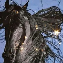 ���� �����, �����������, 44 ���� - ��������� 19 ������ 2023