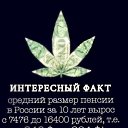 ���� ����, �����-��������, 48 ��� - ��������� 15 ������ 2023 � ������ ���� ����������