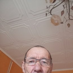 , 61, 
