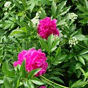 ���� ����, ������, 51 ��� - ��������� 13 ������� 2024 � ������ ���� ����������