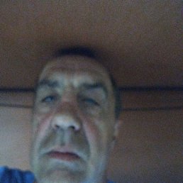 , 56, 